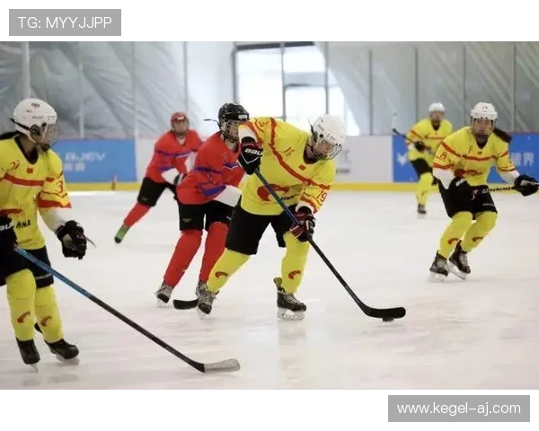 三亿体育在体育内容版权保护方面的策略与未来布局