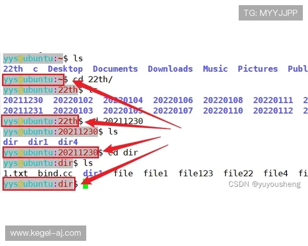 快鱼体育登录线路常见问题及解决方法全面解析用户登录难题