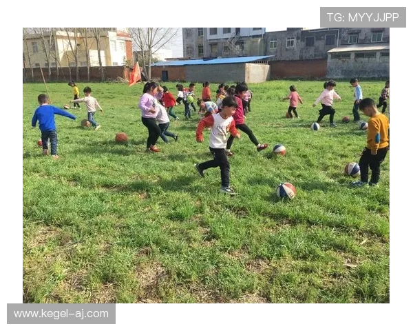 星空体育体育打造专业化体育培训体系，助力运动员实现梦想