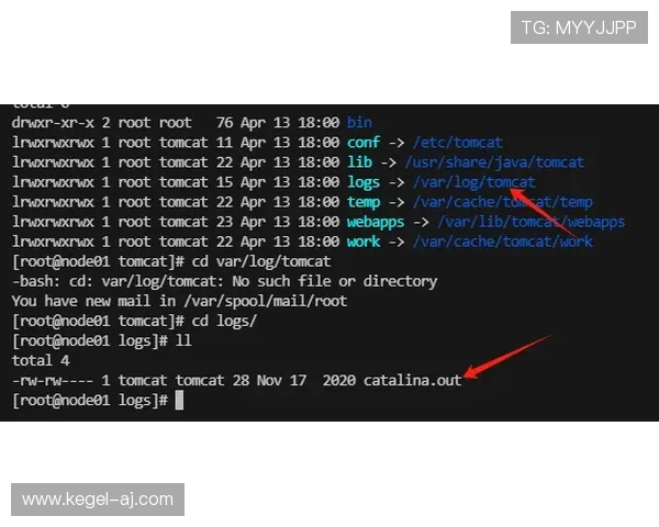 7m体育登录会员登录遇到问题怎么办快速解决登录异常的方法推荐