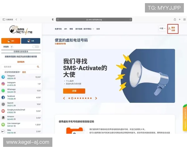 飞驰在线注册平台账号注册成功后如何快速登录与激活